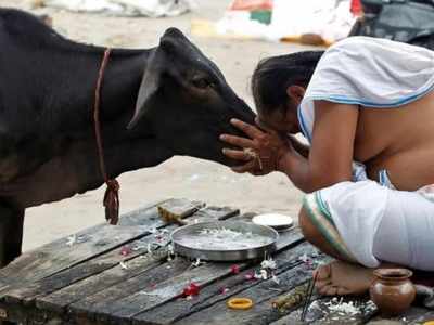 ಪಶುಭಾಗ್ಯಕ್ಕೆ ಕೋವಿಡ್‌ ಹೊಡೆತ, ಅನ್ನದಾತರಿಗೆ ಆಸರೆಯಾಗಿದ್ದ  ಯೋಜನೆ ಸ್ಥಗಿತ; ಮತ್ತೆ ಆರಂಭಿಸಲು ಒತ್ತಾಯ!