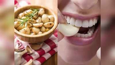 Garlic Benefits : आयुर्वेदानुसार एका लसूणमुळे मिळेल अनेक आजारांपासून मुक्ती, पोटांचे विकार, सांधेदुखीपासून राहाल दूर 