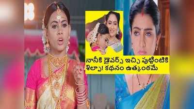 Vadinamma జూలై  22 ఎపిసోడ్: ‘శిల్పని వదిలెయ్యమని సీతమ్మ చెబితే వదిలేస్తా..’ షాకిచ్చిన నాని