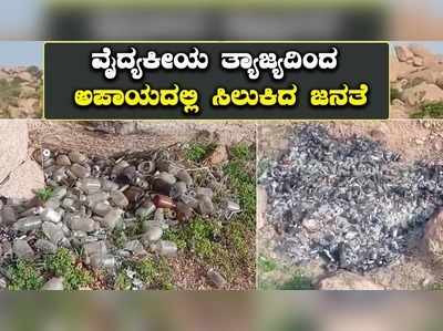 ಸಿರಗುಪ್ಪ ತಾಲೂಕಿನಲ್ಲಿ ವೈದ್ಯಕೀಯ ತ್ಯಾಜ್ಯ ಬಿಸಾಡುತ್ತಿರುವ ಖಾಸಗಿ ವೈದ್ಯರು: ಕ್ರಮಕ್ಕೆ ಸ್ಥಳೀಯರ ಆಗ್ರಹ!