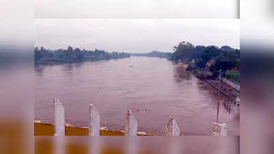 fear of floods in sangli: सांगलीत पुन्हा पुराची भीती; कृष्णेची पाणी पातळी पोहोचली २३ फुटांवर