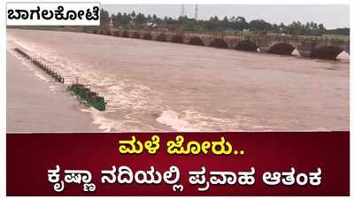 Bagalkot: ಭಾರೀ ಮಳೆ. ತುಂಬಿದ ಕೃಷ್ಣೆ, ಪ್ರವಾಹ ಭೀತಿ, ನದಿ ಪಾತ್ರದ ಜನರಿಗೆ ಎಚ್ಚರಿಕೆ