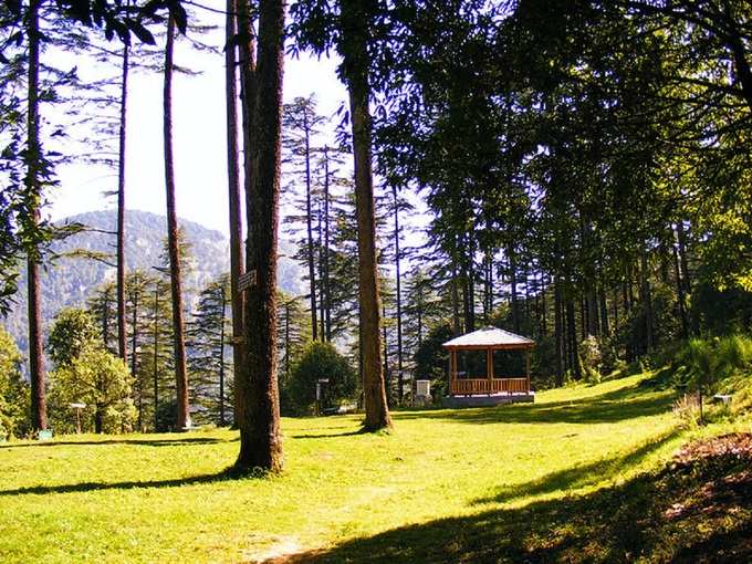 धनोल्टी, उत्तराखंड - Dhanaulti in Uttarakhand in Hindi