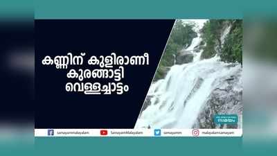 കണ്ണിന് കുളിരാണീ കുരങ്ങാട്ടി വെള്ളച്ചാട്ടം, വീഡിയോ കാണാം