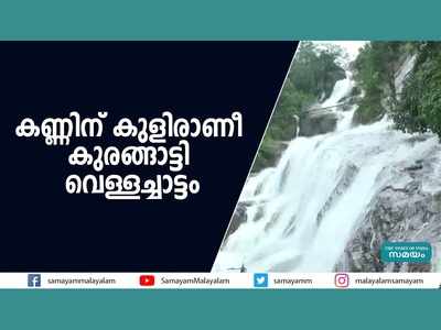 കണ്ണിന് കുളിരാണീ കുരങ്ങാട്ടി വെള്ളച്ചാട്ടം, വീഡിയോ കാണാം