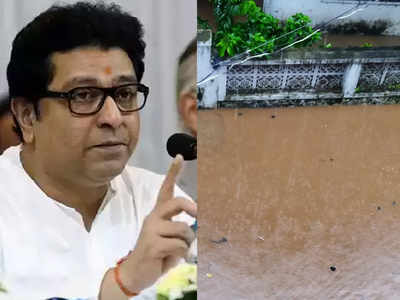 Maharashtra Flood: महाराष्ट्रावर संकट! राज ठाकरेंचं मनसैनिकांना आवाहन