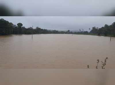 ಕೊಡಗು ಜಿಲ್ಲೆಯಲ್ಲಿ ಭಾರೀ ಮಳೆ: ಪೊನ್ನಂಪೇಟೆ ತಾಲೂಕಿನಾದ್ಯಂತ ಗದ್ದೆಗಳು ಜಲಾವೃತ