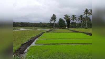 ഇവിടെ നെല്‍കൃഷിക്ക് നിരോധനം... ഇതെന്താ വനംവകുപ്പേ ഇങ്ങനെ?