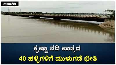 ಯಾದಗಿರಿ: ಕೃಷ್ಣಾ ನದಿ ಪಾತ್ರದ 40 ಹಳ್ಳಿಗಳಿಗೆ ಮುಳುಗಡೆ ಭೀತಿ