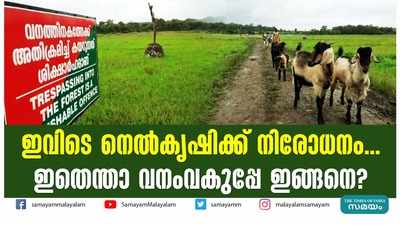 ഇവിടെ നെല്‍കൃഷിക്ക് നിരോധനം... ഇതെന്താ വനംവകുപ്പേ ഇങ്ങനെ?