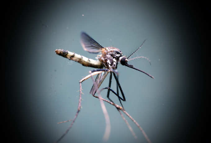 ​ಮುನ್ನೆಚ್ಚರಿಕೆ