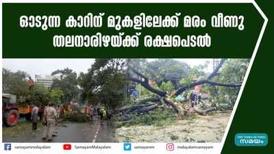 ഓടുന്ന കാറിന് മുകളിലേക്ക് മരം വീണു... തലനാരിഴയ്ക്ക് രക്ഷപെടല്‍