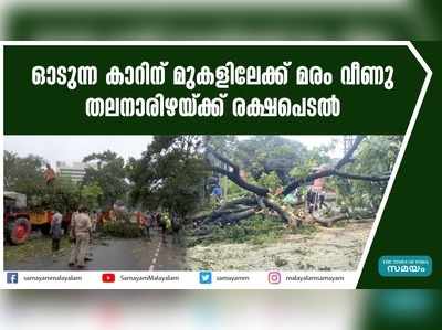 ഓടുന്ന കാറിന് മുകളിലേക്ക് മരം വീണു... തലനാരിഴയ്ക്ക് രക്ഷപെടല്‍