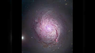 NASA की तस्वीर में दिखी गुलाबी, रेशमी धागों सी अदृश्य शक्ति, लोग बोले- खूबसूरती की मिसाल