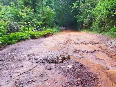 വനം വകുപ്പ് പാര, ചെളിക്കുളമായി റോഡുകൾ; പണി നടത്താൻ അനുമതിയില്ല, വീഡിയോ കാണാം