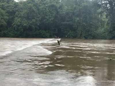 കനത്ത മഴ: മണികണ്ഠൻചാൽ ചപ്പാത്ത് വീണ്ടും മുങ്ങി; ഒറ്റപ്പെട്ട് ആദിവാസികൾ, വീഡിയോ കാണാം