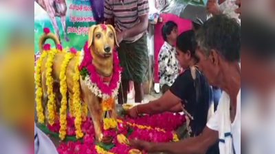 చనిపోయిన కుక్కపై ఆంధ్రా వ్యక్తి ప్రేమ.. కాంస్య విగ్రహం కట్టించి నివాళ్లు