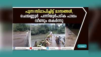 പുനഃസ്ഥാപിച്ചിട്ട് മാസങ്ങൾ, ചെമ്മണ്ണൂർ - പന്നിയൂർപടിക പാലം വീണ്ടും തകർന്നു, വീഡിയോ കാണാം