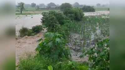 Madhya Pradesh Weather News : एमपी के 24 जिलों में भारी बारिश का अलर्ट, उफान पर हैं कई नदियां