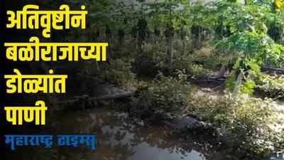 Parbhani Flood | अरेरे! परभणीत मुसळधार पावसामुळं ३४ हजार हेक्टरवरील पिकं पाण्याखाली