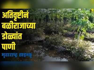 Parbhani Flood | अरेरे! परभणीत मुसळधार पावसामुळं ३४ हजार हेक्टरवरील पिकं पाण्याखाली