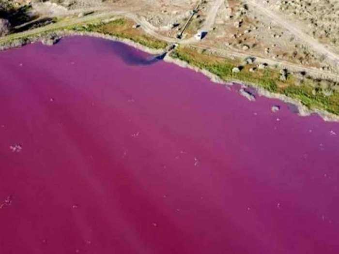 Argentina lake bright pink