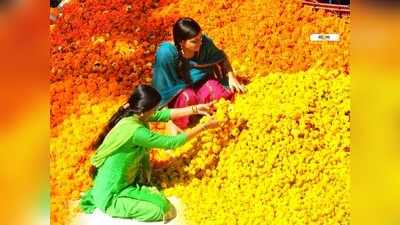 আয় হবে ১৫ লাখ! সহজ ব্যবসায় দারুণ লাভের সুযোগ!!