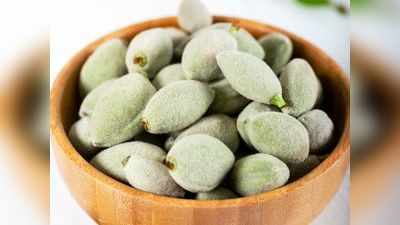 Weight loss में मददगार Green Almonds, हरे बादाम खाने के 7 फायदे नहीं जानते होंगे आप