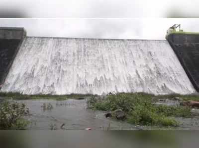 நிரம்பி வழியும் அடவிநயினார் அணை... காண முடியாமல் தவிக்கும் டூரிஸ்ட்கள்!