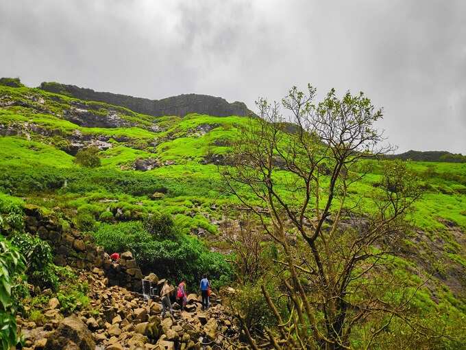 नासिक से महाबलेश्वर - Nasik to Mahabaleshwar in Hindi