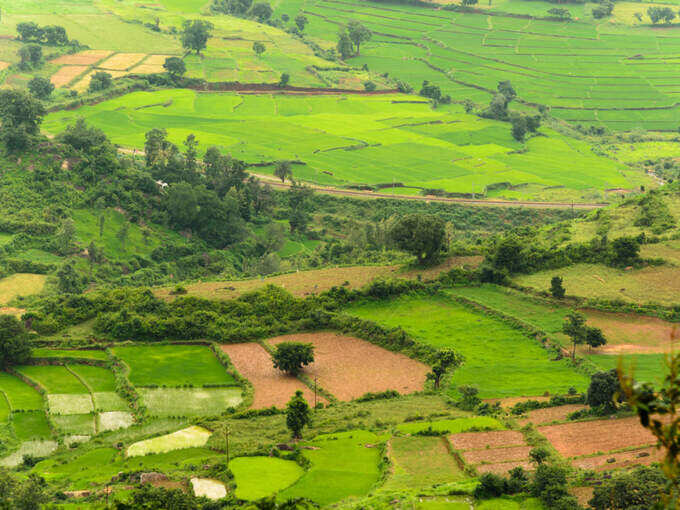 विशाखापट्टनम से लाम्बासिंगी - Visakhapatnam to Lambasingi in Hindi