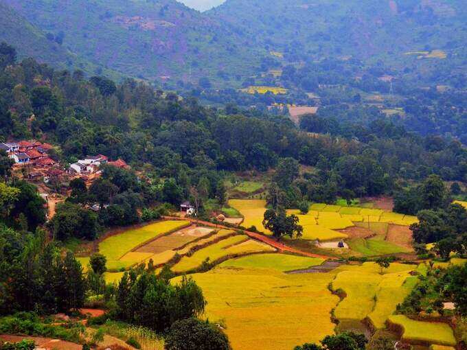 विशाखापट्टनम से अराकू घाटी - Visakhapatnam to Araku Valley in Hindi