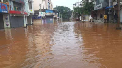 maharashtra flood : महाराष्ट्रातील पूरग्रस्त शेतकऱ्यांसाठी ७०० कोटींची मदत, केंद्राची घोषणा