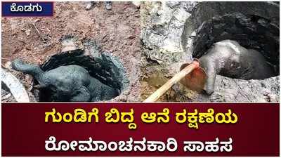 ಕೊಡಗು: ಗುಂಡಿಗೆ ಬಿದ್ದ ಆನೆಯನ್ನು ಚಾಣಾಕ್ಷತನದಿಂದ ರಕ್ಷಿಸಿದ ಅರಣ್ಯ ಇಲಾಖೆ ತಂಡ