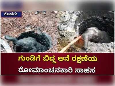 ಕೊಡಗು: ಗುಂಡಿಗೆ ಬಿದ್ದ ಆನೆಯನ್ನು ಚಾಣಾಕ್ಷತನದಿಂದ ರಕ್ಷಿಸಿದ ಅರಣ್ಯ ಇಲಾಖೆ ತಂಡ