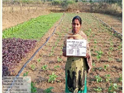 Jharkhand News : झारखंड के ग्रामीणों में कुपोषण से उठे थे सरकार पर सवाल, अब गांववालों के किचन गार्डन से भाग रही बीमारी