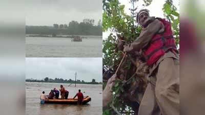 श्योपुर में सीप नदी में फंसे 10 चरवाहे, रेस्क्यू टीम की नाव बिगड़ी, पेड़ से लटकर बचे सभी, देखें वीडियो