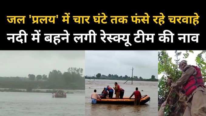 श्योपुर में गाय चराने गए 10 चरवाहे नदी में फंसे, चार घंटे की मशक्कत के बाद हुआ रेस्क्यू, देखें