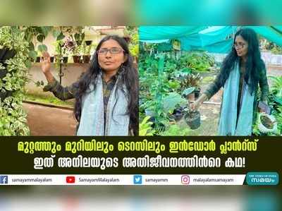 മുറ്റത്തും മുറിയിലും ടെറസിലും ഇന്‍ഡോര്‍ പ്ലാന്‍റ്‍സ്; ഇത് അനിലയുടെ അതിജീവനത്തിന്‍റെ കഥ!