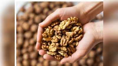 खाने में लाजवाब और सेहत को पहुंचाता है कई लाभ, जानें अखरोट की तरह दिखने वाले Pecan Nuts के फायदे