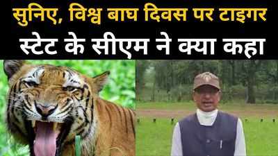 World Tiger Day : टाइगर स्टेट में कैसे बढ़ रही बाघों की संख्या, सीएम शिवराज सिंह चौहान ने बताया