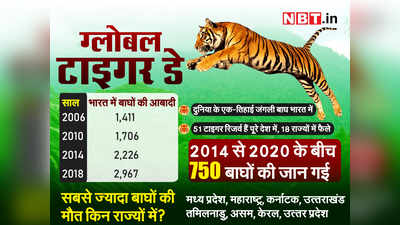 Global Tiger Day: 18 राज्‍यों में 51 टाइगर रिजर्व, भारत में हर साल यूं बढ़ी है बाघों की आबादी