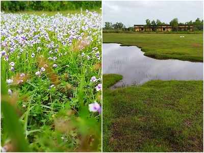 വീരമലക്കുന്നിൽ ഇക്കോ ടൂറിസം പദ്ധതി; റെയിൻബോ വില്ലേജും ഉടൻ, വീഡിയോ കാണാം