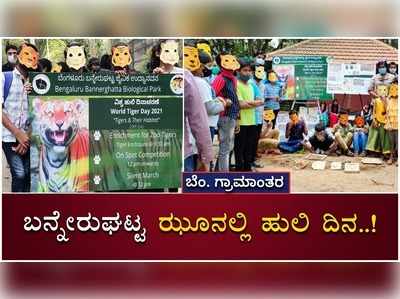 ಬನ್ನೇರುಘಟ್ಟ ಝೂನಲ್ಲಿ ವಿಶ್ವ ಹುಲಿ ದಿನ ಆಚರಣೆ..! ಚಿತ್ರ ಬಿಡಿಸಿ, ಜಾಥಾ ನಡೆಸಿ ಖುಷಿಪಟ್ಟ ಚಿಣ್ಣರು..!