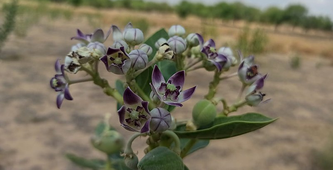 ​ಎಲ್ಲಾ ತೊಂದರೆಗಳು ದೂರಾಗುವುದು