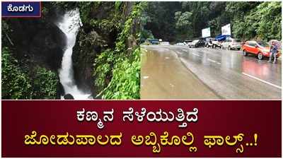 ಕೊಡಗು: ರಾಷ್ಟ್ರೀಯ ಹೆದ್ದಾರಿಯಲ್ಲಿ ಕಣ್ಮನ ಸೆಳೆಯುತ್ತಿದೆ ಜೋಡುಪಾಲದ ಅಬ್ಬಿ ಕೊಲ್ಲಿ ಫಾಲ್ಸ್‌..!