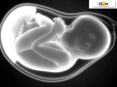 করোনায় কি কমছে সন্তানের জন্ম দিতে IVF পদ্ধতির সাফল্য? জানুন কী বলছে সমীক্ষা