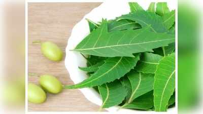 Neem Benefits : வேப்பிலையின் மோசமான 6 பக்கவிளைவுகள் என்னென்ன? யாருக்கு ஆபத்து அதிகம்!