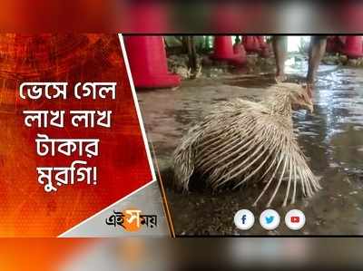 ভেসে গেল লাখ লাখ টাকার মুরগি!