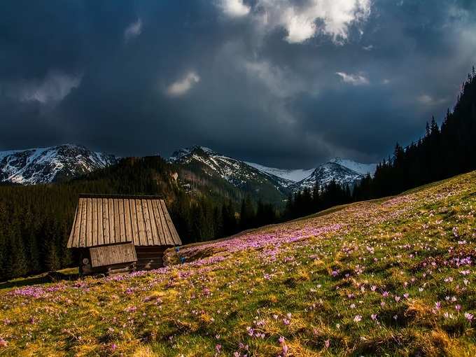 फूलों की घाटी, उत्तराखंड - Valley of Flowers, Uttrakhand in Hindi